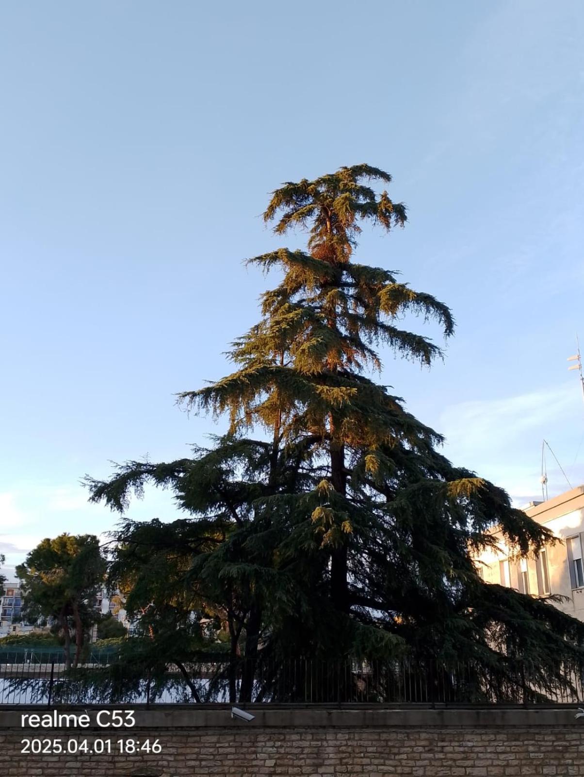 111 Guest House Μπάρι Εξωτερικό φωτογραφία